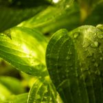 从传统到现代:彩发娱乐如何改变我们的美发观念 06qzg045ei