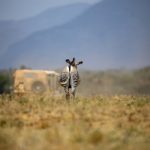 从影视到音乐,豪杰娱乐的多元化发展之路 j748svq