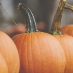 从新手到高手:老虎机下载娱乐的技巧与策略分享 mczgu6n89