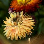 从零到一:如何在万人迷平台上实现个人品牌的飞跃 u2c87o8ib