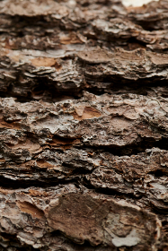 从影视到游戏:宝龙娱乐的全方位娱乐布局 从影视到游戏:宝龙娱乐的全方位娱乐布局